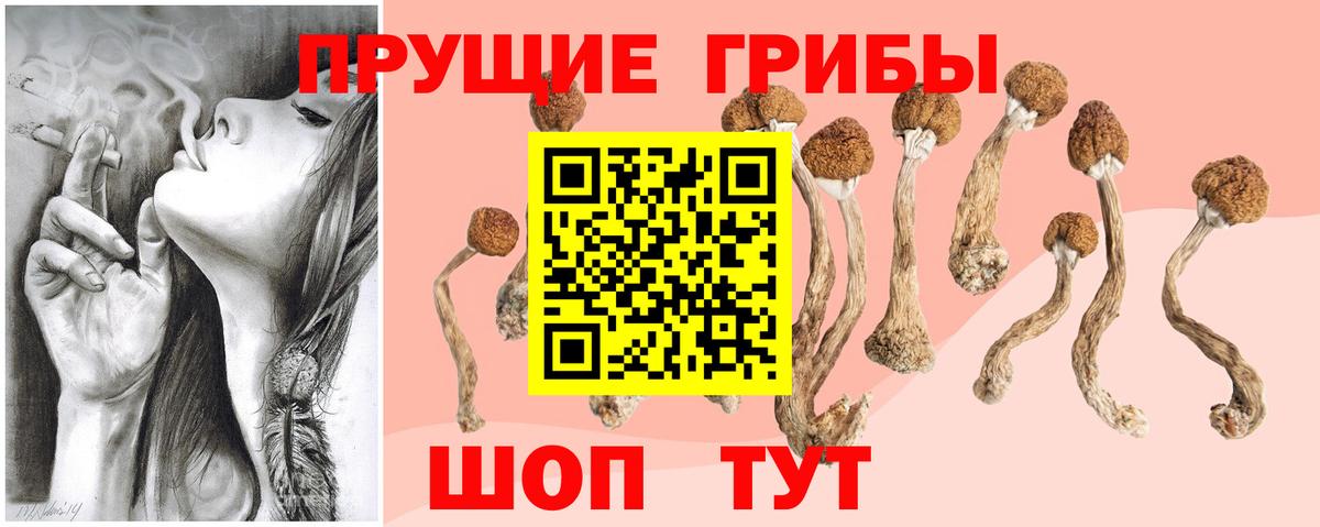 Лсд 25 Мирный